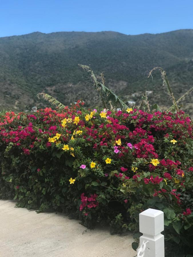 Ocean View Villas Jost Van Dyke 외부 사진